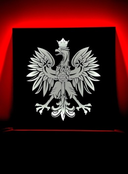 Tablica Led Tir ORZEŁ/GODŁO 50x50cm