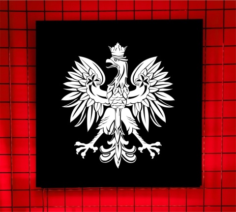 Tablica Led Tir ORZEŁ/GODŁO 50x50cm