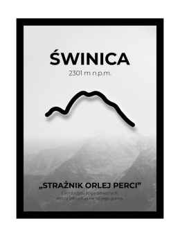 Ramka LED Świnica
