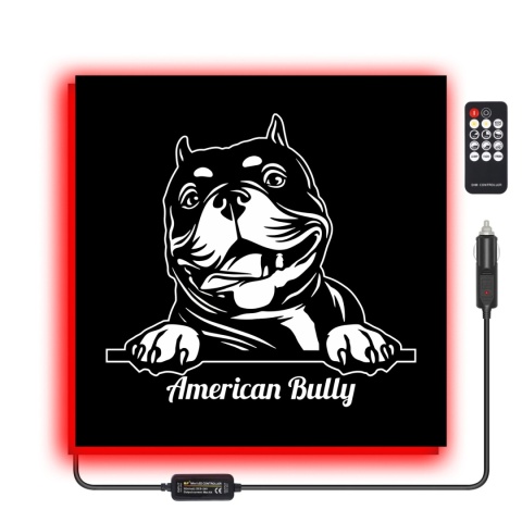 Tablica LED Tir BULLY 50x50cm (37)