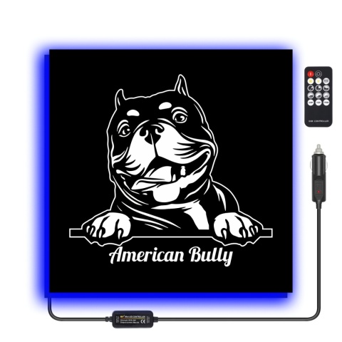 Tablica LED Tir BULLY 50x50cm (37)