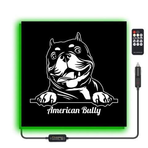 Tablica LED Tir BULLY 50x50cm (37)