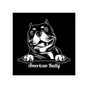 Tablica LED Tir BULLY 50x50cm (37)