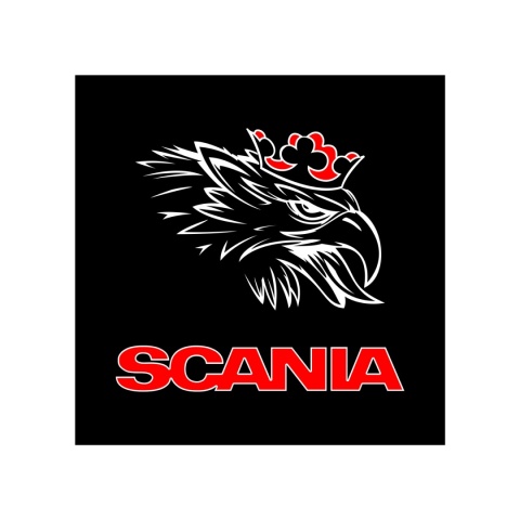 Tablica LED Tir SCANIA 50x50cm (5)