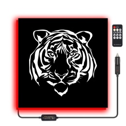 Tablica LED Tir TYGRYS 50x50cm (16)