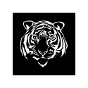 Tablica LED Tir TYGRYS 50x50cm (16)