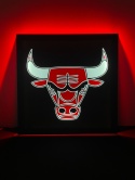 Tablica LED Tir BULL'S 50x50cm (49)