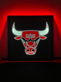 Tablica LED Tir BULL'S 50x50cm (49)