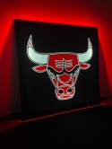 Tablica LED Tir BULL'S 50x50cm (49)