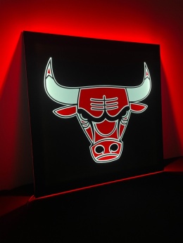 Tablica LED Tir BULL'S 50x50cm (49)