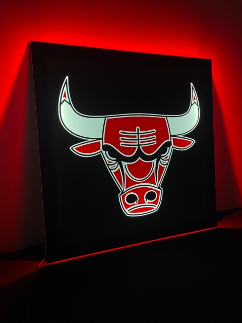 Tablica LED Tir BULL'S 50x50cm (49)