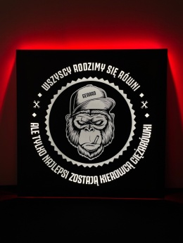 Tablica LED Tir MAŁPA 50x50cm (11)