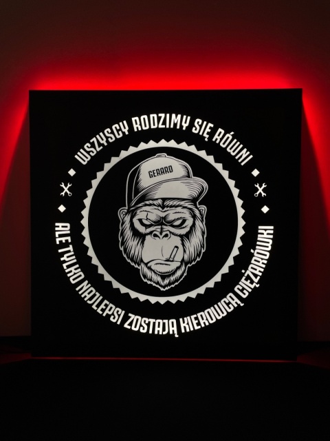 Tablica LED Tir MAŁPA 50x50cm (11)