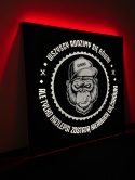Tablica LED Tir MAŁPA 50x50cm (11)