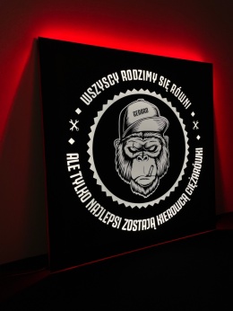 Tablica LED Tir MAŁPA 50x50cm (11)