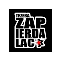 Tablica LED Tir TRZEBA ZAP 50x50cm (53)