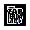Tablica LED Tir TRZEBA ZAP 50x50cm (53)