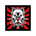 Tablica LED Tir DOG 50x50cm (44)